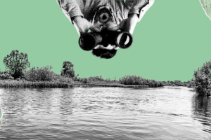 Somente um rio do Nordeste apresenta boa qualidade da água | Agência Tatu