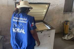 FPI do São Francisco fecha queijaria clandestina em São José da Tapera | Ascom FPI do São Francisco