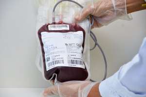 Senac e Hemoal firmam parceria para incentivar doação de sangue | Assessoria