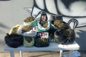 PM apreende 21 quilos de maconha após denúncia em Arapiraca | Divulgação - PM/AL