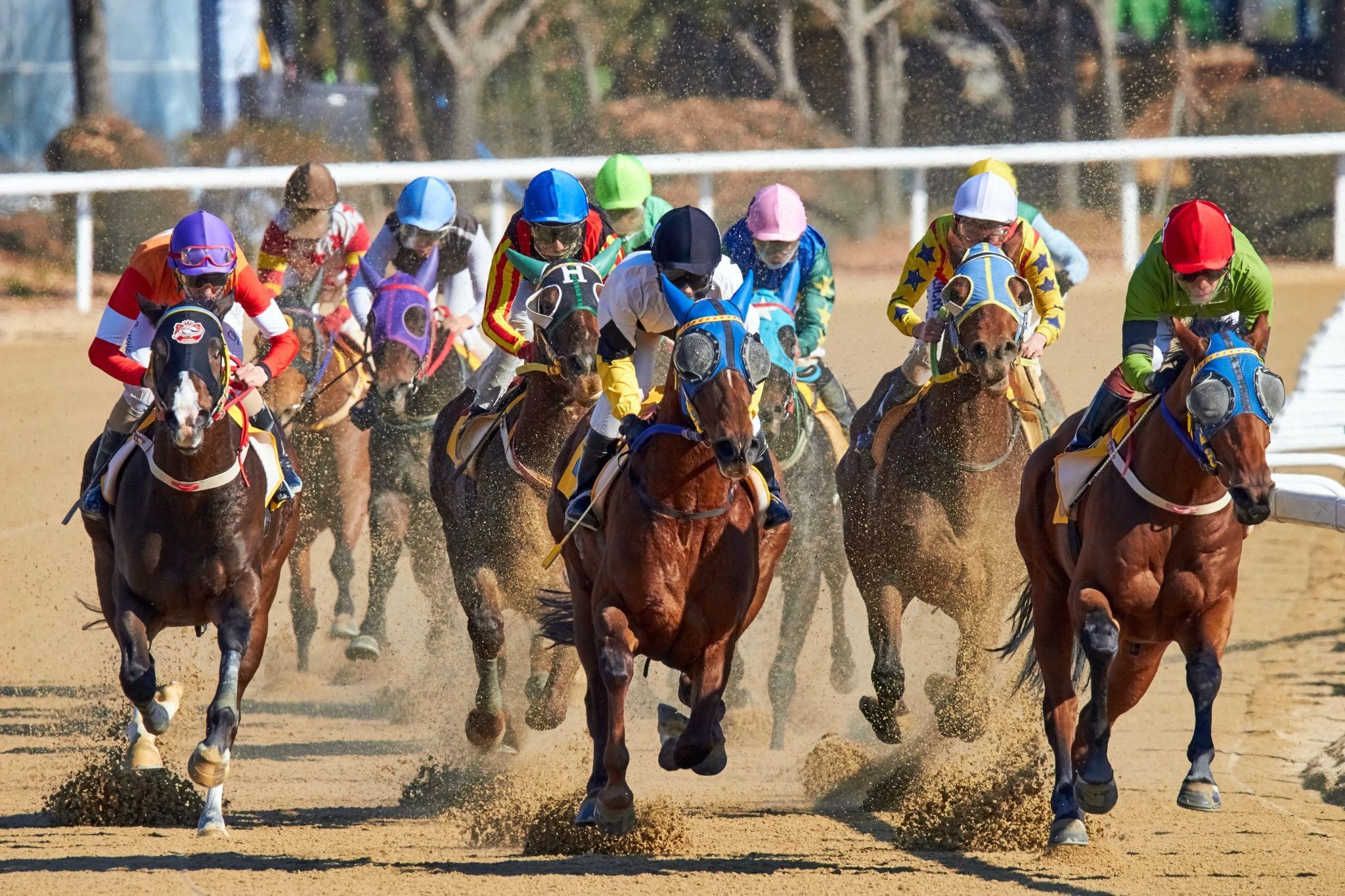 Corrida de cavalos